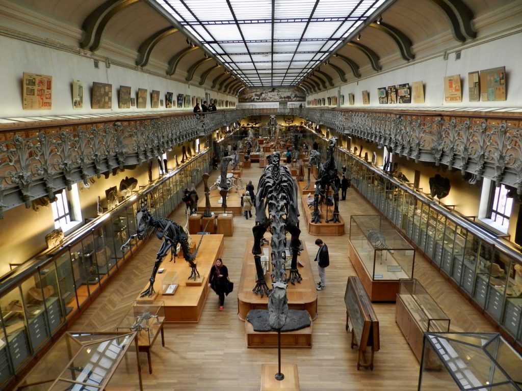 Маршрут Московского марафона 2021