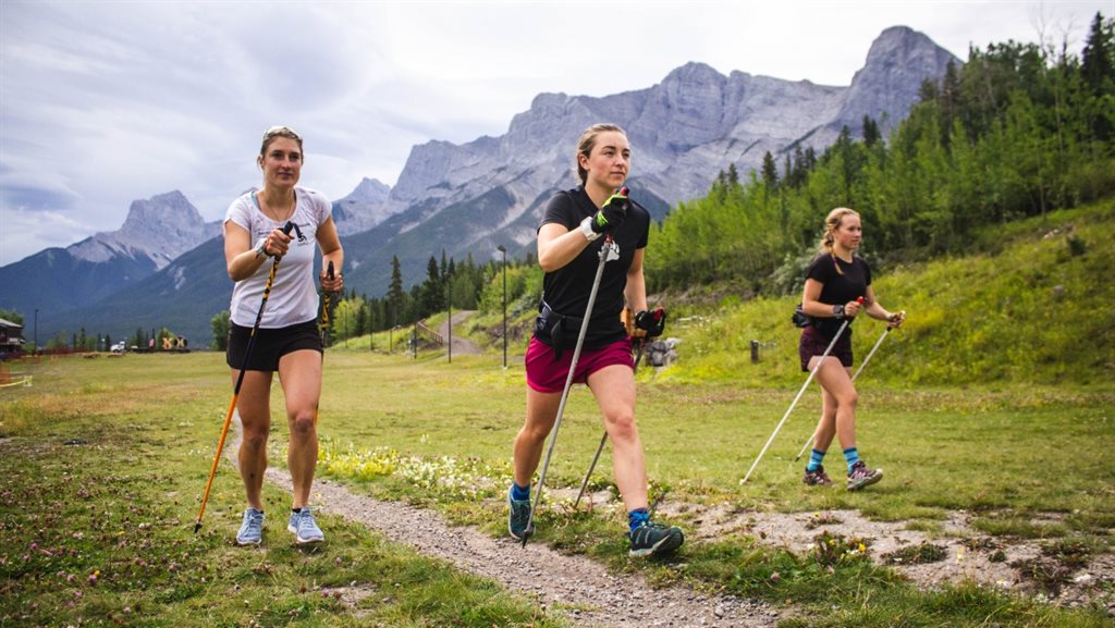 скандинавская ходьба с палками