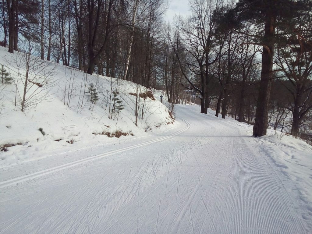 красногорский лыжный марафон трасса