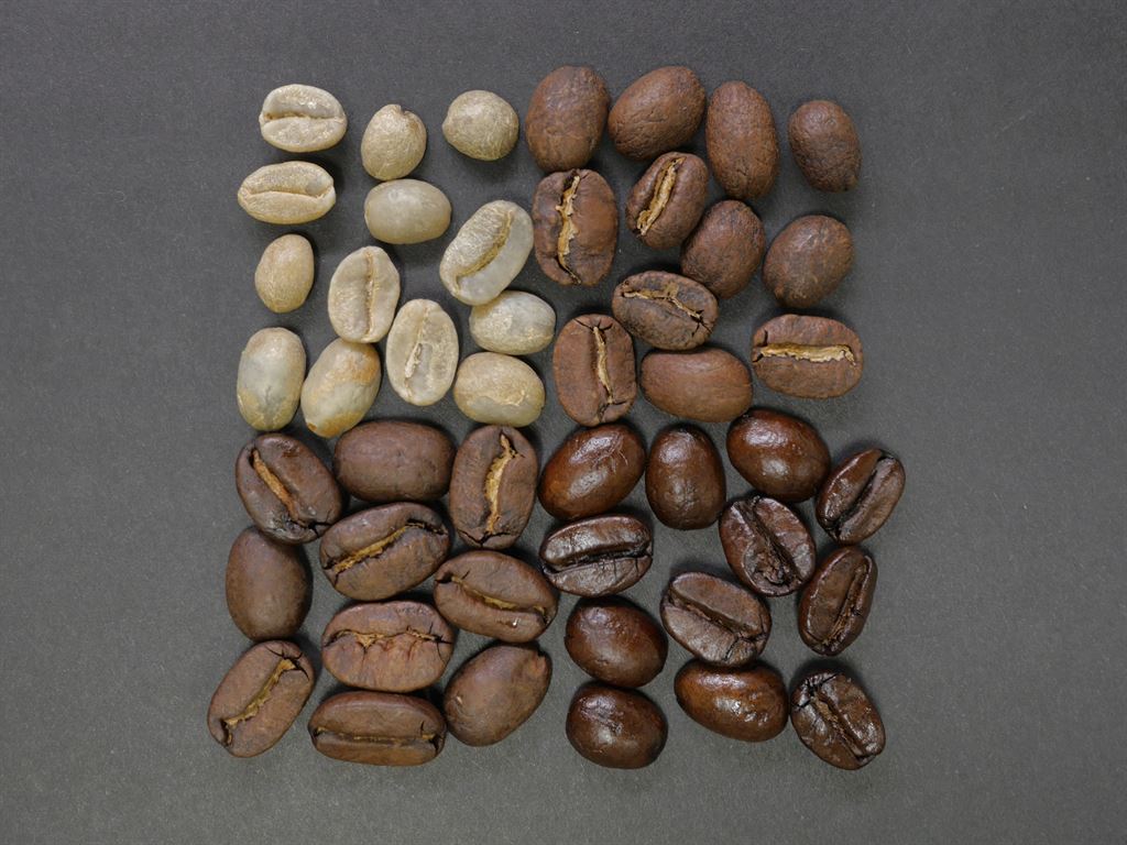 семена кофе виды