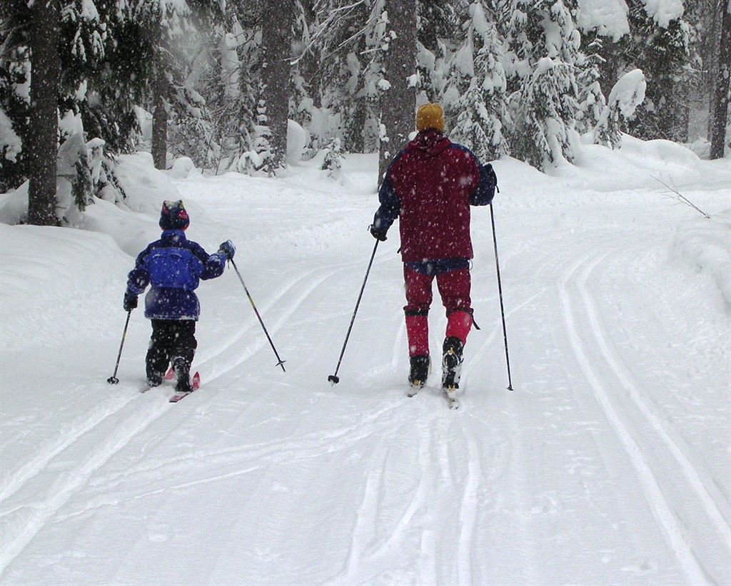 как выбрать лыжи ребенку по росту