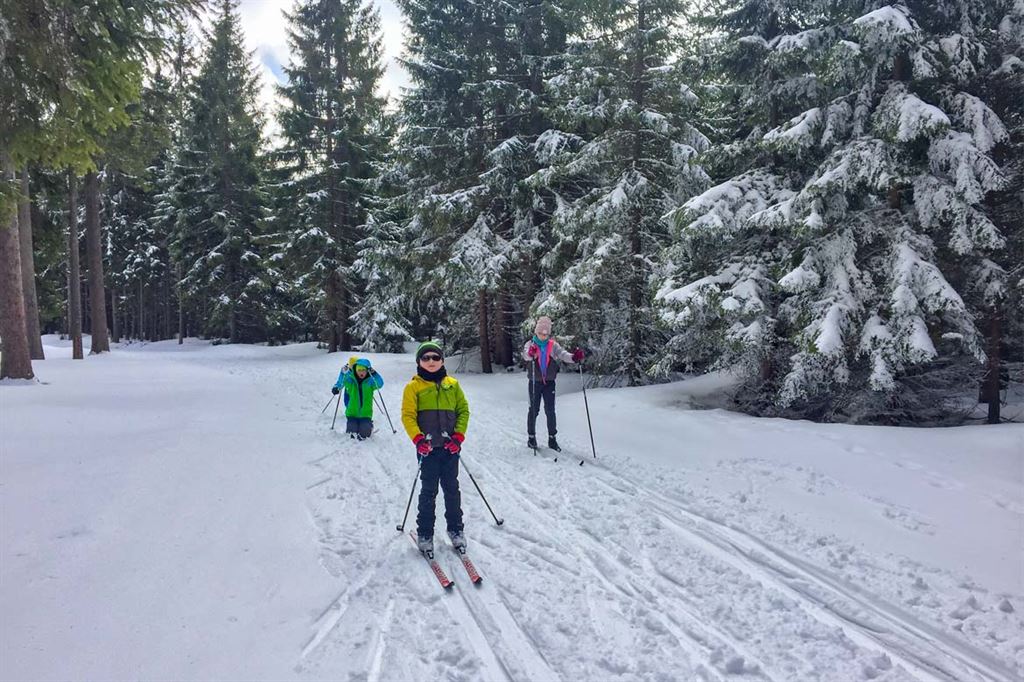 как выбрать лыжи ребенку