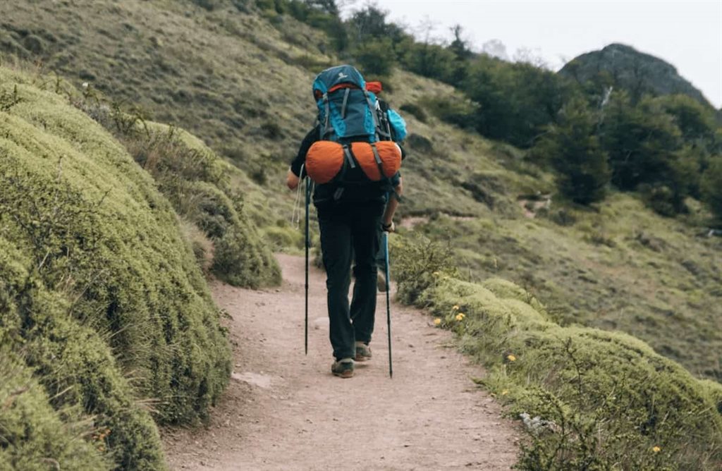скандинавская ходьба польза и вред
