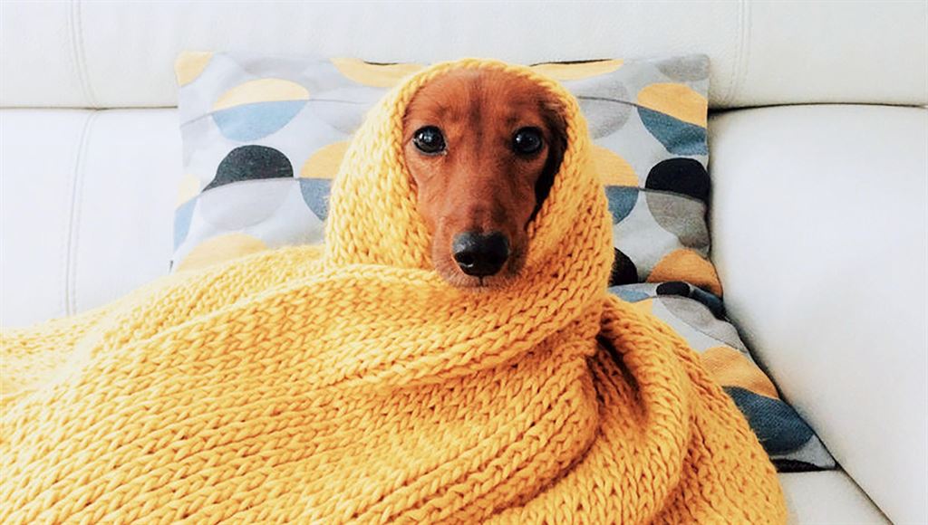 можно ли бегать когда болеешь простудой. Смотреть фото можно ли бегать когда болеешь простудой. Смотреть картинку можно ли бегать когда болеешь простудой. Картинка про можно ли бегать когда болеешь простудой. Фото можно ли бегать когда болеешь простудой можно ли бегать когда болеешь простудой. Смотреть фото можно ли бегать когда болеешь простудой. Смотреть картинку можно ли бегать когда болеешь простудой. Картинка про можно ли бегать когда болеешь простудой. Фото можно ли бегать когда болеешь простудой