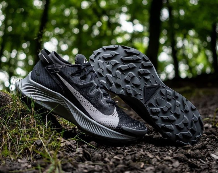 обзор nike pegasus trail 2