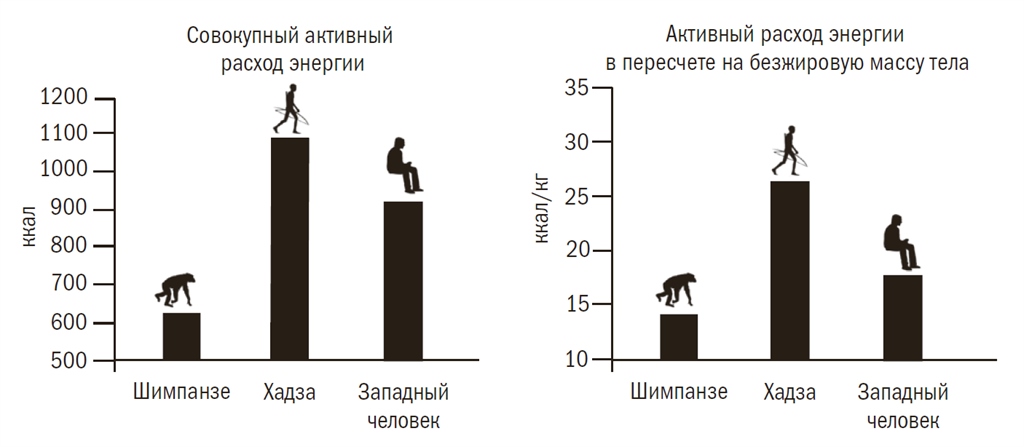 Парадокс упражнений Либерман.